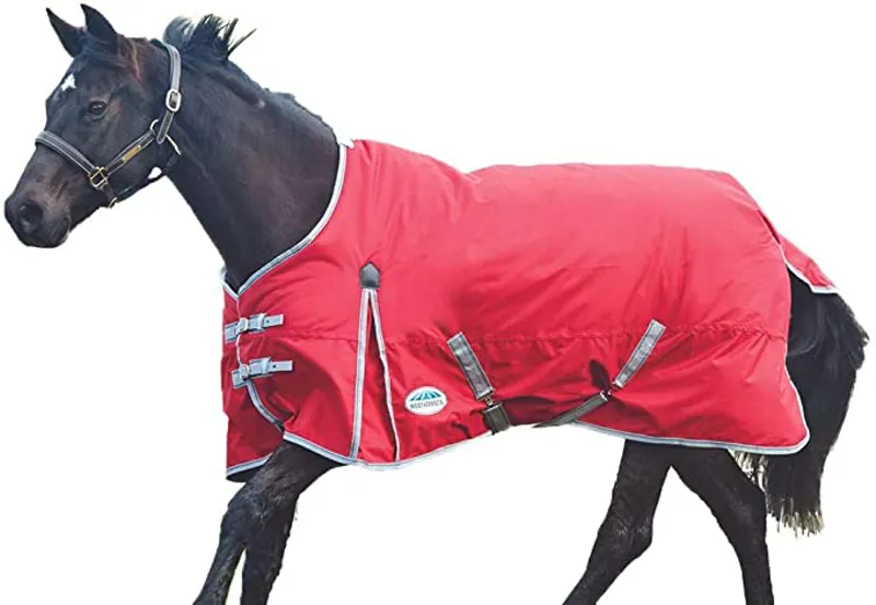 Weatherbeeta ComFiTec Classic Standard Neck Medium Turnout Rug